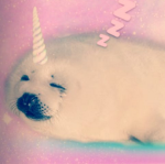 let's get sealy!1!!1