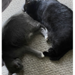 BFFS #2