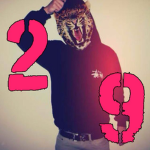29Jewels