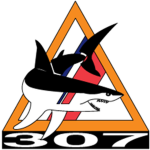 U.S. Coast Guard: Port Security Unit 307