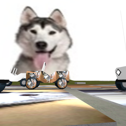 husky race!! 5k visits and I'll eat flextape