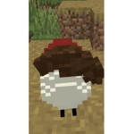 QSMP fan group