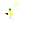 war ducks