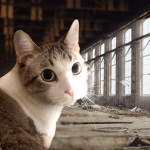 Catstik Studios