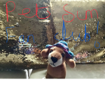 Pet sim fan club!
