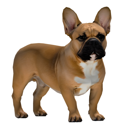 Carry a French Bulldog Roblox item