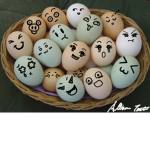 Egglish Education