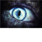W.E.R.E