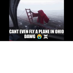 Michigan Invasion