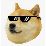 Doge = cool Sqaud