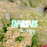 daiisys!