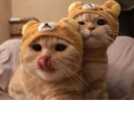 -kitty’s