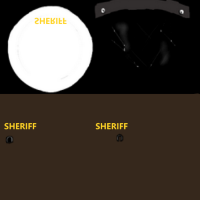 RTPD Sheriff Riot Variant 2 Roblox decal