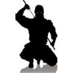 Secret Ninja Corp.