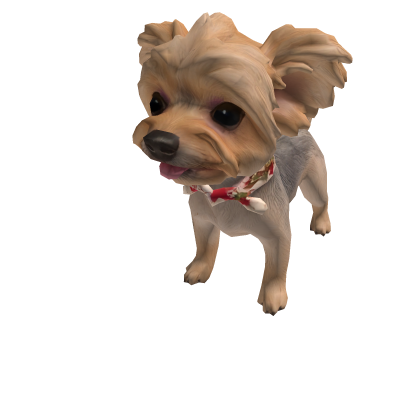 Willow