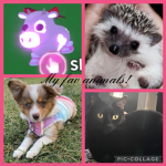 Shelby's fav animals group!