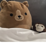 Panda and monkey