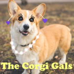 The Corgi Gals
