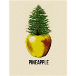 Pineapple Global Warming