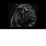 #TEH BEAST