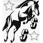 SouthStar Riding Academy