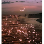 < pretty sunset >