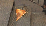 Pizza rat hide out