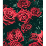 ~*Little Red Rose*~