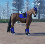 HorseyYT