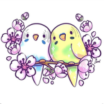 parakeet fans ONLY aka made by blue and clover