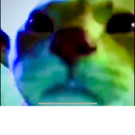 muzzle’s totally not alive group