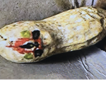 Peanut FBI