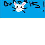 the bunnehs