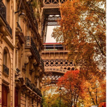 Paris's Attic!