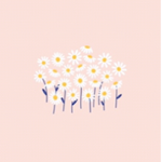 ~Aesthetic Daisies and Other Flowers~