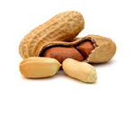 The Peanut Cult for cool people