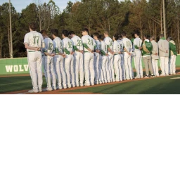 Buford Athletics Baseball Field icon
