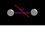 Evil Organization Navy