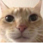s7rrows