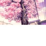 SakuraGames
