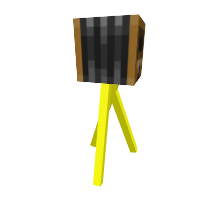 minecraft camera