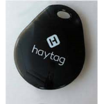 HayTags