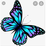 Butterfly army :)