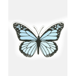 *-Butterfliez-*