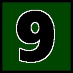 Ninth Green Infantry Division
