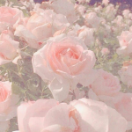 Cute flowers!!