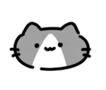 猫が好きな人！