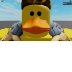 DUCKS group for the bois