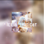 leela the cat