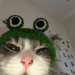 1uhve
